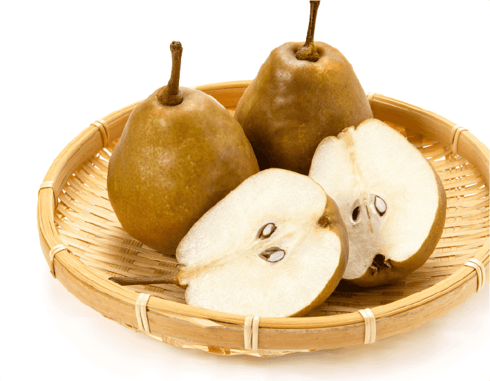 メロウ・リッチ